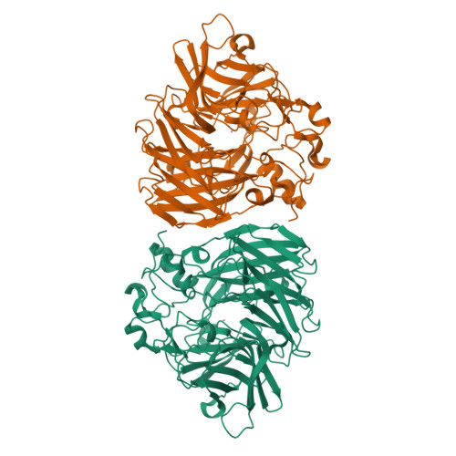 RCSB PDB - 6XM6: Crystal structure of cobalt-bound LSD4 from ...