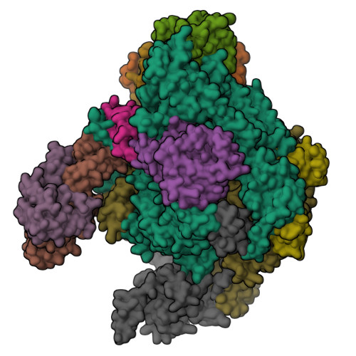 RCSB PDB - 6XRE: Structure of the p53/RNA polymerase II assembly