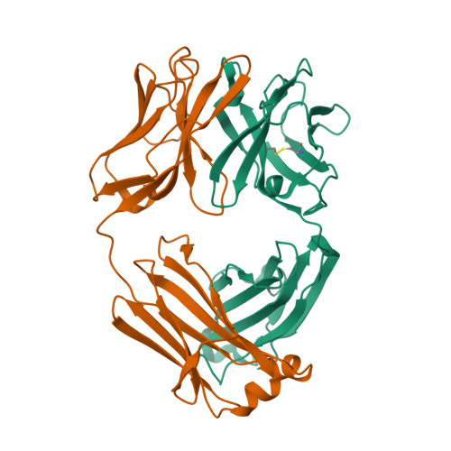 RCSB PDB - 6XRJ: Crystal structure of the disulfide linked
