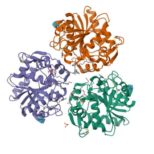 RCSB PDB - 6XRV: X-ray structure of the monoclinic crystal form at 1.43 ...
