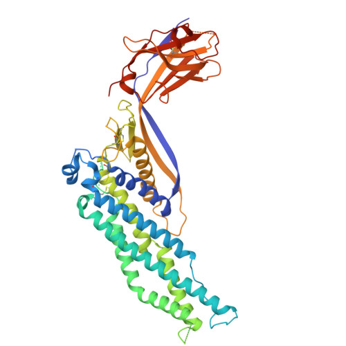 RCSB PDB - 6XVI: Crystal structure of Megabody Mb-Nb207-c7HopQ_A12