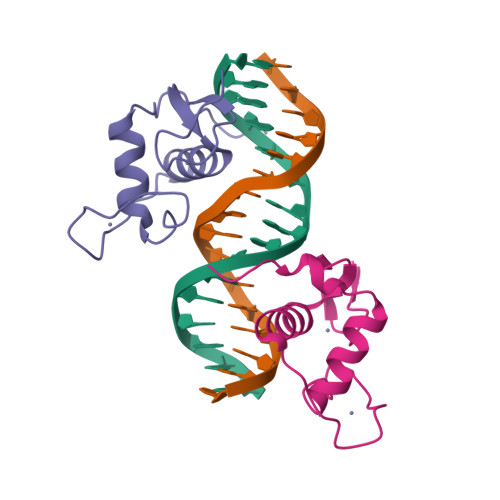 RCSB PDB - 6XWH: Crystal Structure of the Human RXR DNA-Binding Domain ...