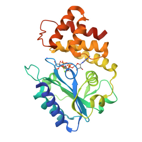 Rcsb Pdb - 6xxq: Crystal Structure Of Spectinomycin Adenyltransferase 