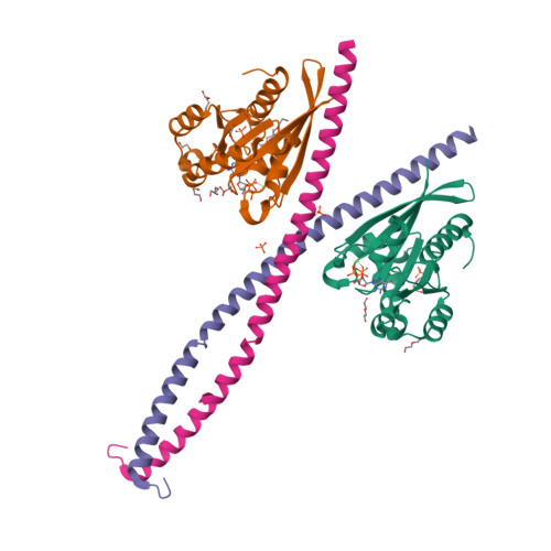 PDB 6Y09