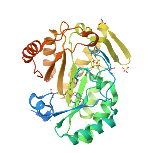 RCSB PDB - 6Y1X: X-ray structure of the radical SAM protein NifB, a key ...