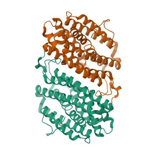 RCSB PDB - 6Y2N: Crystal Structure Of Ribonucleotide Reductase R2 ...