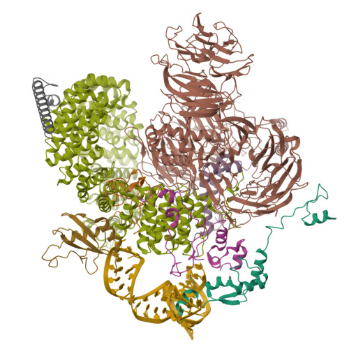 PDB 6Y50