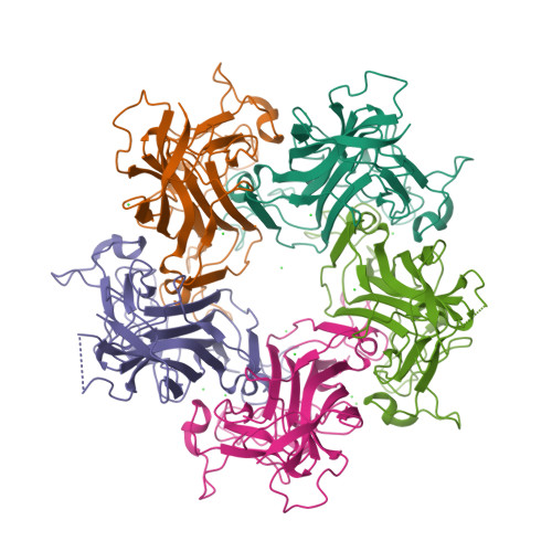 Brock 微生物学 Amazon.com: Brock 微生物学 / Brock Biseibutsugaku Biology of