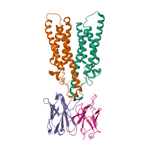 Distinction I〜Ⅳ、Structures 28888-44-0|6,7-Dimethoxyquinazoline-2,4-dione|BLD Pharm
