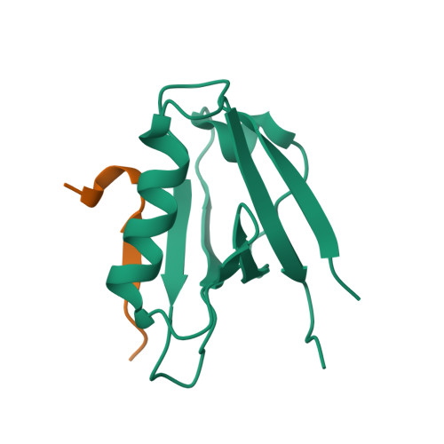 PDB 6Y9Q