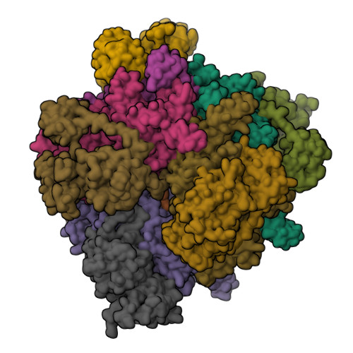 RCSB PDB - 6YBP: Propionyl-CoA carboxylase of Methylorubrum extorquens ...