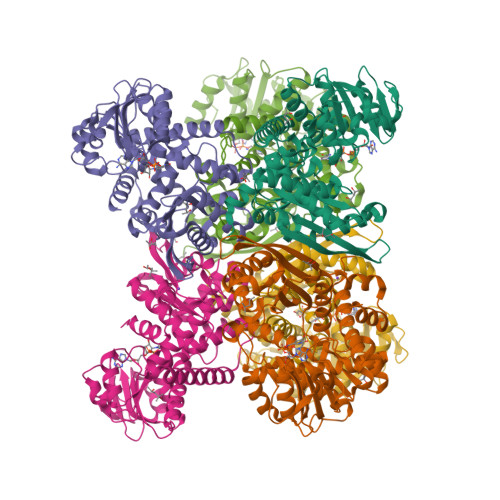 RCSB PDB - 6YEI: Arabidopsis thaliana glutamate dehydrogenase