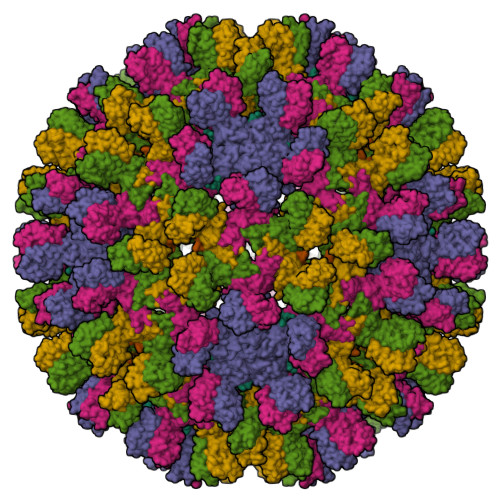 RCSB PDB - 6YGH: Duck Hepatitis B Virus Capsid