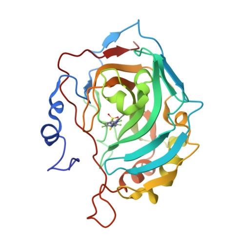 RCSB PDB - 6YHB: Crystal structure of chimeric carbonic anhydrase 