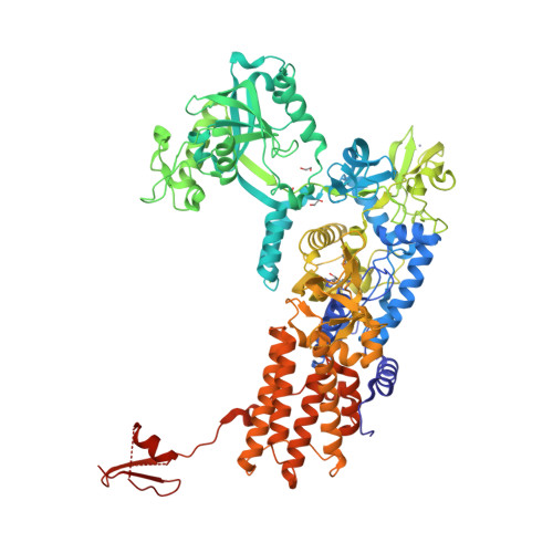 RCSB PDB - 6YKV: Neisseria gonorrhoeae Leucyl-tRNA Synthetase in