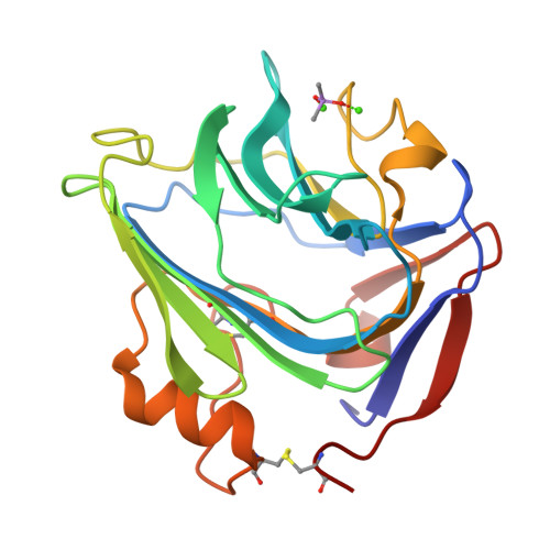 Human Biology 医学部新入生向け RCSB PDB - 1LAA: X-RAY STRUCTURE OF GLU 53 HUMAN LYSOZYME