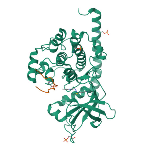 RCSB PDB - 6YQI: Crystal Structure Of CAMP-dependent Protein Kinase ...