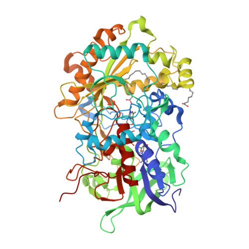 RCSB PDB - 4H6R: Structure of reduced Deinococcus radiodurans