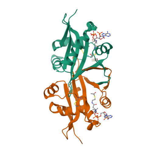 A&Yページ RCSB PDB - 6YJ1: The M23 peptidase domain of the