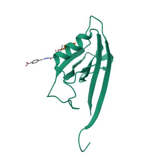 RCSB PDB - 6YX0: Crystal structure of SHANK1 PDZ in complex with a