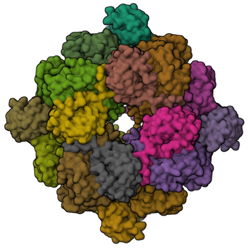 Rcsb Pdb Z G Cryoem Structure Of The Interaction Between Rubisco