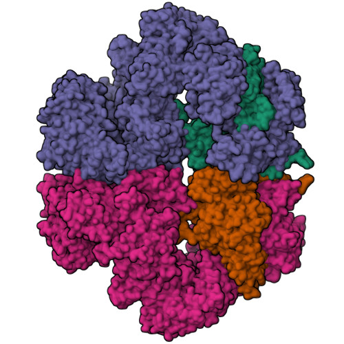 RCSB PDB - 6Z2W: Mec1-Ddc2 (F2244L mutant) in complex with Mg AMP-PNP