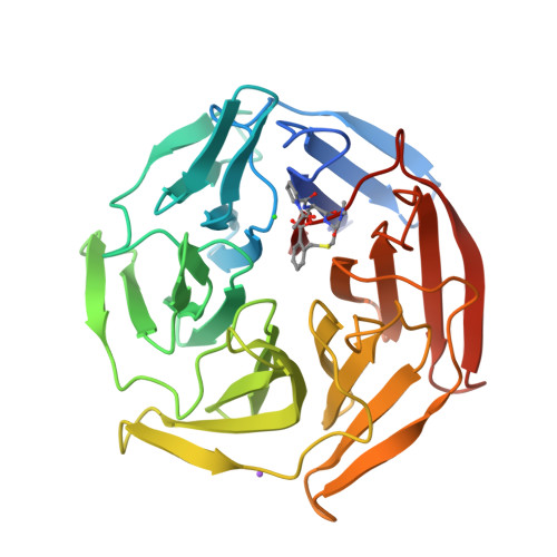 RCSB PDB - 6Z6A: Keap1 macrocycle complex