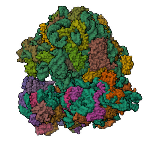 RCSB PDB - 6Z6K: Cryo-EM structure of yeast reconstituted Lso2 