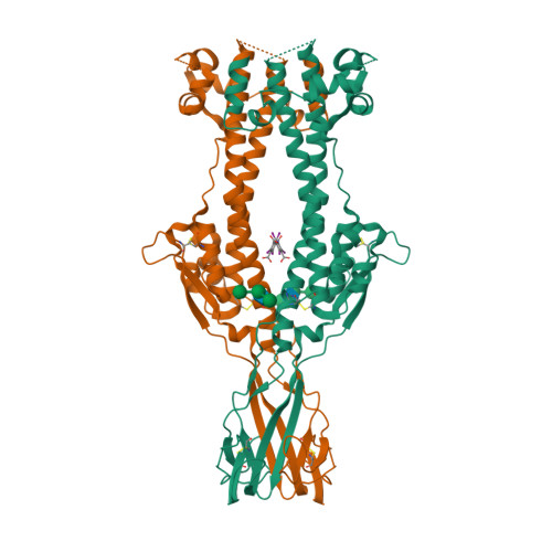 RCSB PDB - 6Z79: Variant Surface Glycoprotein VSGsur, I3C (