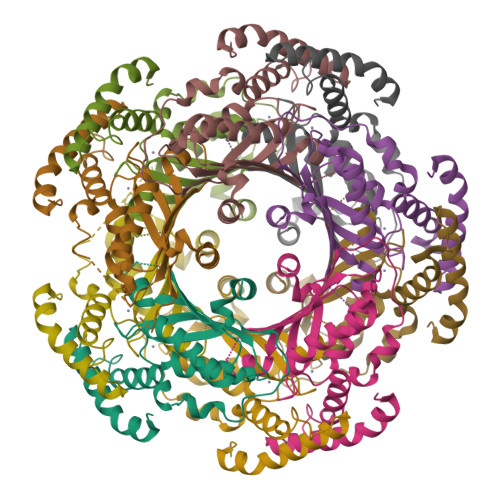 RCSB PDB - 6Z87: human GTP cyclohydrolase I