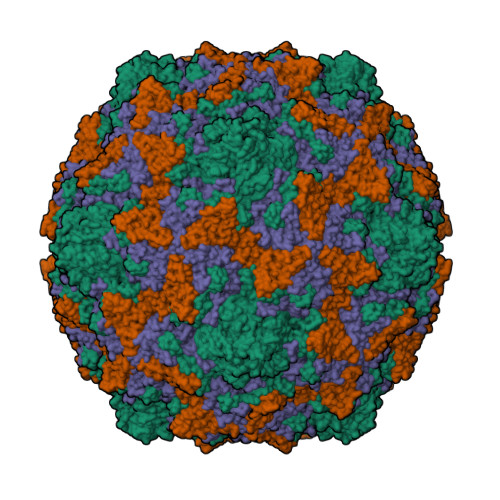 RCSB PDB - 6ZCL: Coxsackievirus B3 in complex with capsid binder
