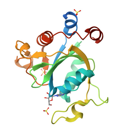 【Ojuuunページ】 ProXtend S/FTP CAT6A LSZH AWG 26 CU Yellow 0.75M (S/FTP, CAT6a
