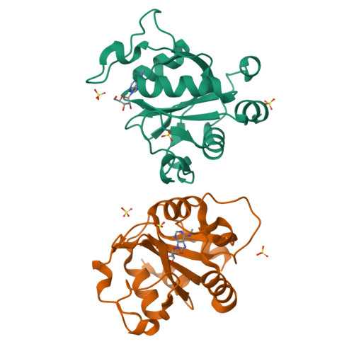 RCSB PDB - 6ZCN: Crystal structure of YTHDC1 with m6A
