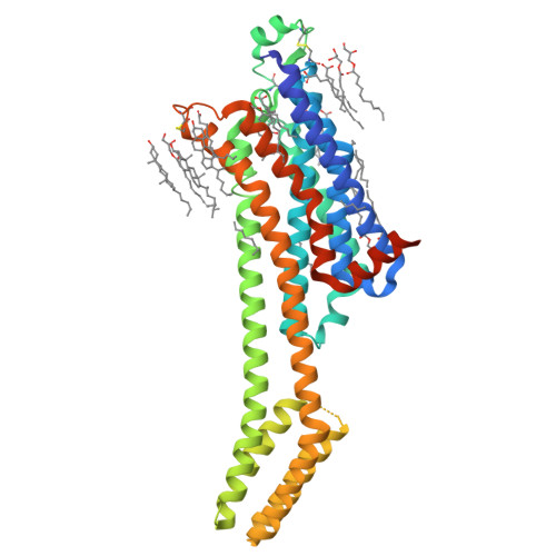 RCSB PDB - 6ZDR: Crystal structure of stabilized A2A adenosine receptor ...