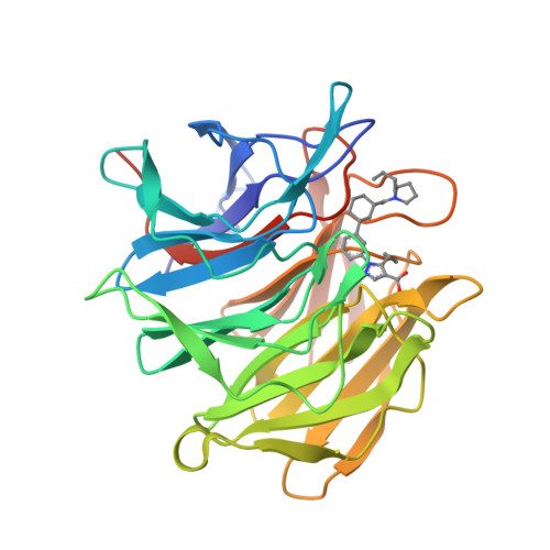 RCSB PDB - 6ZEZ: Keap1 kelch domain bound to a small molecule inhibitor ...