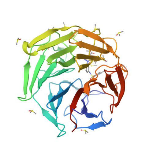 RCSB PDB - 6ZF0: Keap1 kelch domain bound to a small molecule inhibitor ...