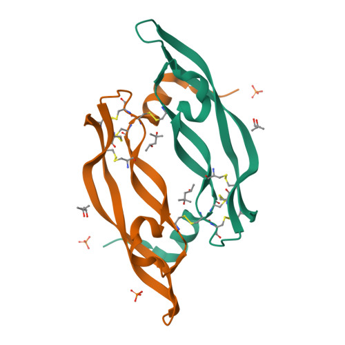 Rcsb Pdb Zfl High Resolution Structure Of Vegf A