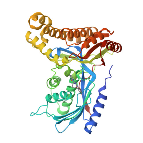 RCSB PDB - 6ZGZ: Structure of human galactokinase 1 bound with 2