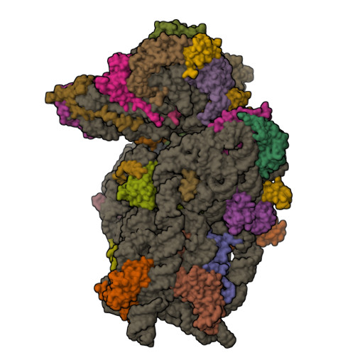 EMD-8064 (RSCB PDB 5HX2) T4 baseplate protein has similar