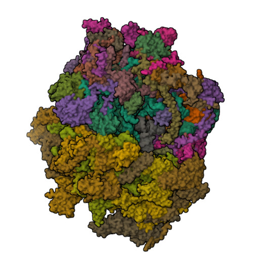 PDB 6ZM5