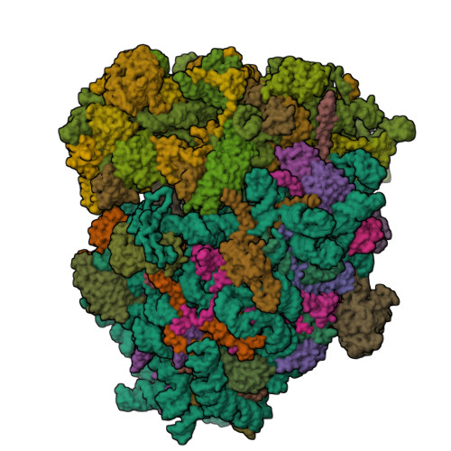 RCSB PDB - 6ZMO: SARS-CoV-2 Nsp1 bound to the human LYAR-80S-eEF1a 