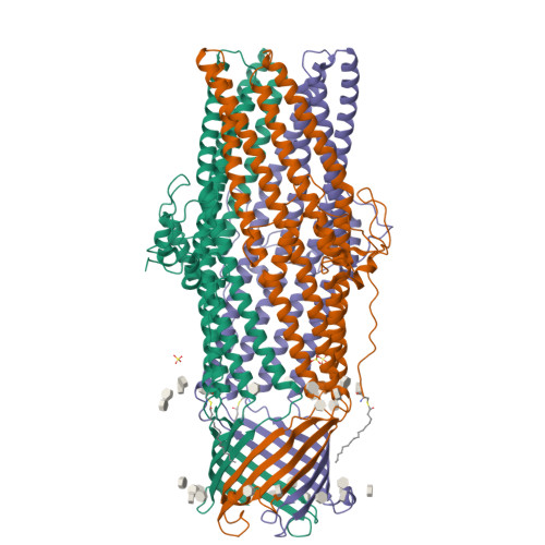 RCSB PDB - 6ZRE: Deciphering the role of the channel constrictions in ...