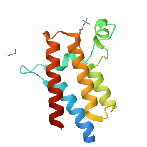 RCSB PDB - 6ZS4: Crystal structure of the fifth bromodomain of human ...