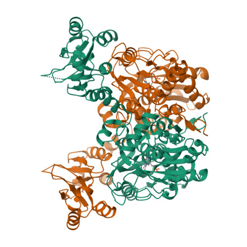 RCSB PDB - 6ZS7: Crystal structure of delta466-491 cystathionine 