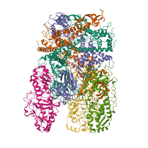 RCSB PDB - 6ZTY: Assembly intermediates of orthoreovirus captured