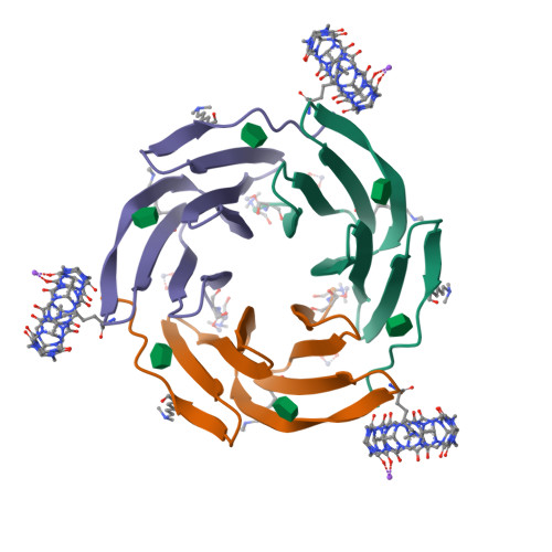 RCSB PDB - 6ZUM: Crystal structure of dimethylated RSL-N23H (RSL-B3) in ...