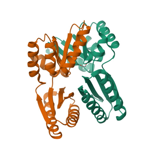 RCSB PDB - 6ZV9: Terbium(III)-bound de novo TIM barrel-ferredoxin