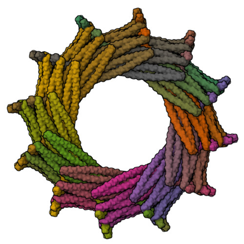 RCSB PDB - 6ZVS: C12 symmetry: Bacterial Vipp1 and PspA are