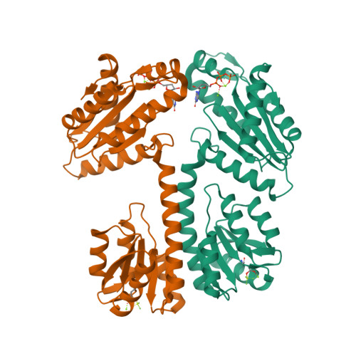 RCSB PDB - 6ZXC: Diguanylate cyclase DgcR (I-site mutant) in 