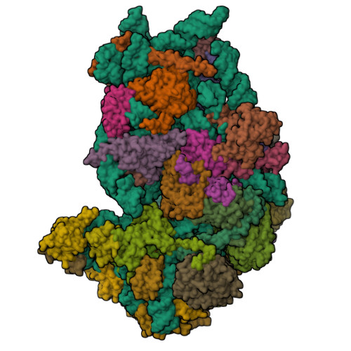 RCSB PDB - 6ZXE: Cryo-EM structure of a late human pre-40S